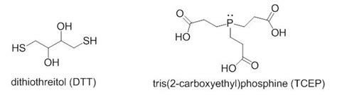 how to dissolve dtt